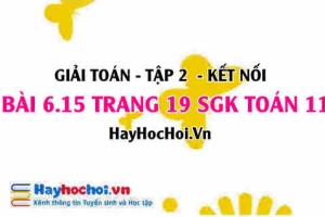 Bài 6.15 trang 19 Toán 11 tập 2 Kết nối tri thức
